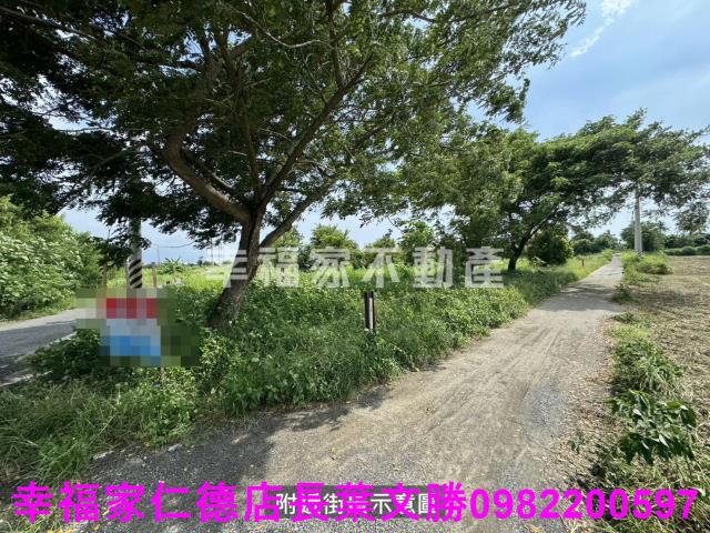 台南東山農地-4