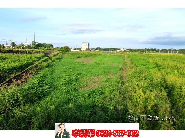 柳營農地-6