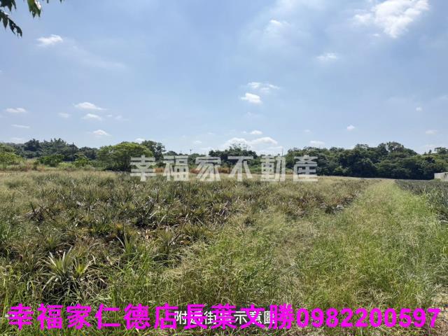 新市農地-10