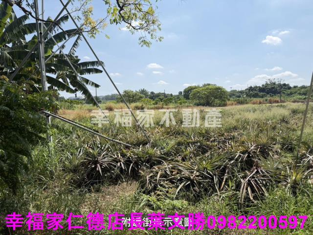 新市農地-9