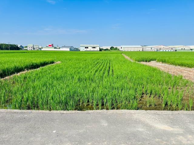 嘉義西區農地-2