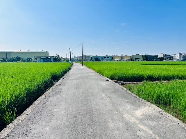 嘉義西區農地-3