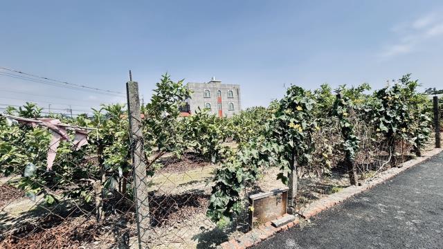 高雄燕巢農地-2