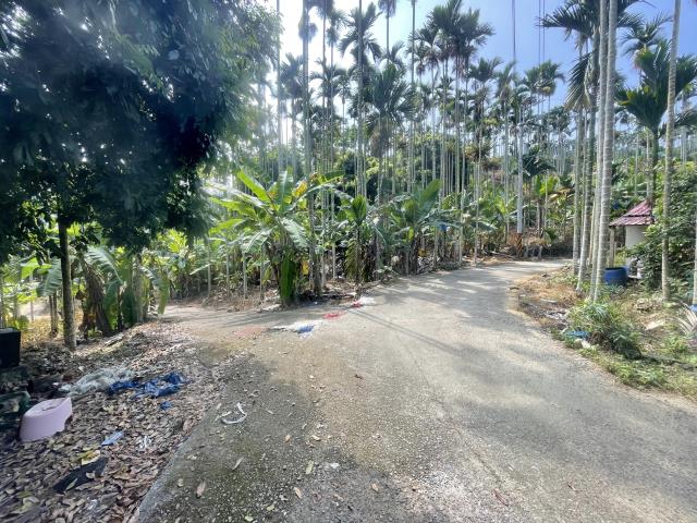 中寮農地-1