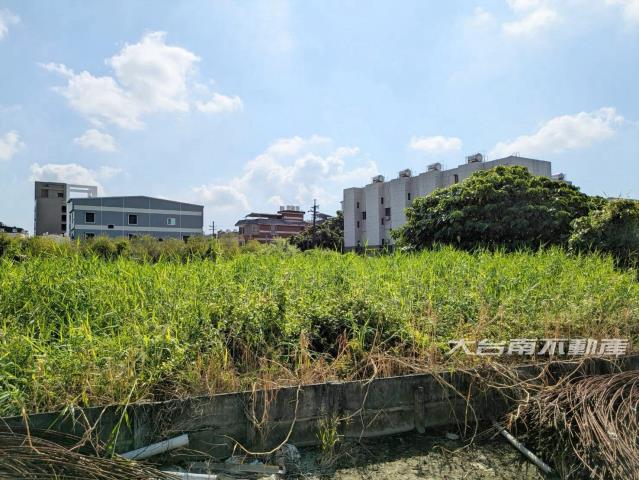 新市農地-10