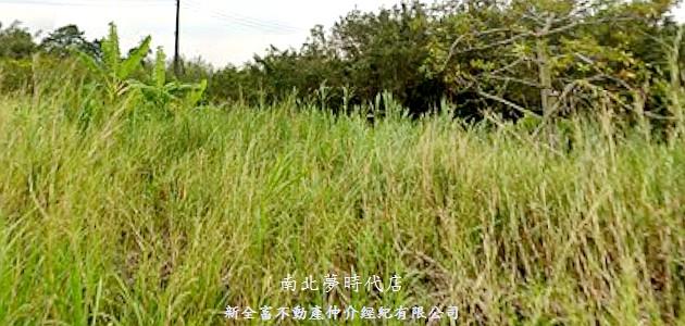 關廟農地-1