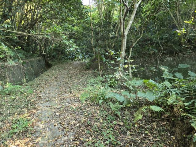 芎林林地-14
