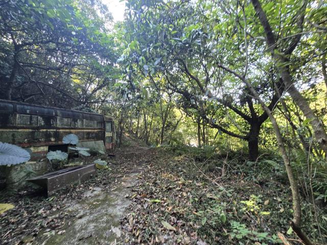 芎林林地-6