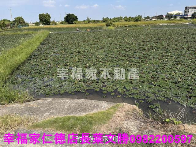 台南農地-11