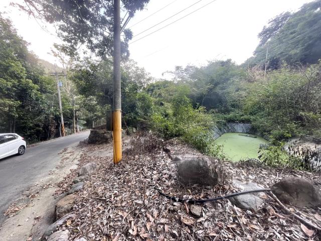 南投國姓農地-3