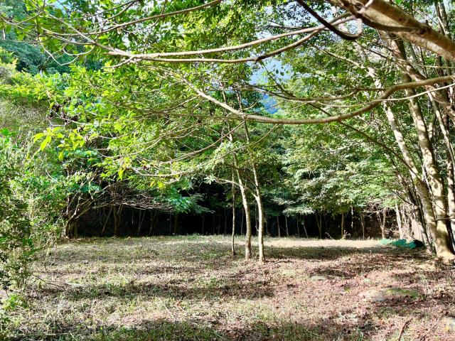 南投埔里農地-14