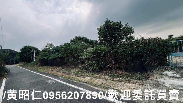 台南歸仁農地-5