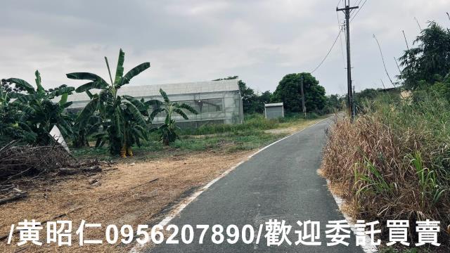 台南歸仁農地-1