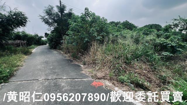 台南歸仁農地-10
