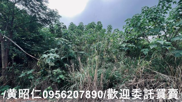 台南歸仁農地-3
