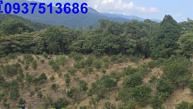 礁溪農地-13