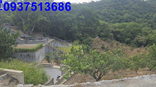礁溪農地-15
