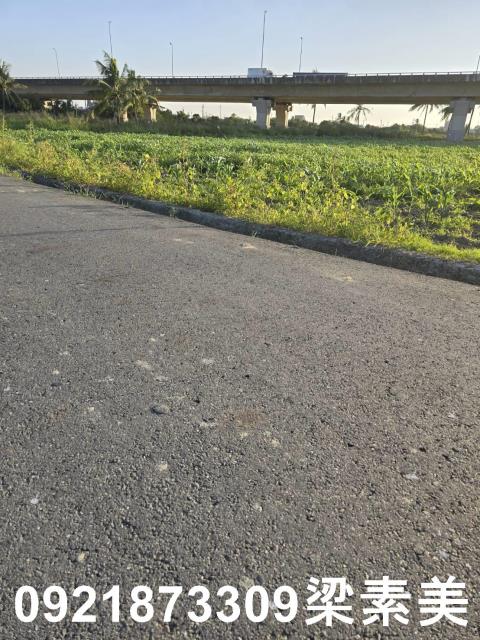 台南新市農地-11