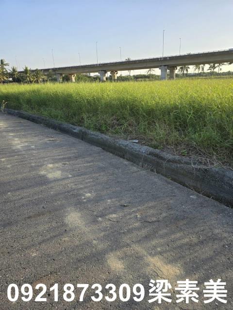 台南新市農地-6