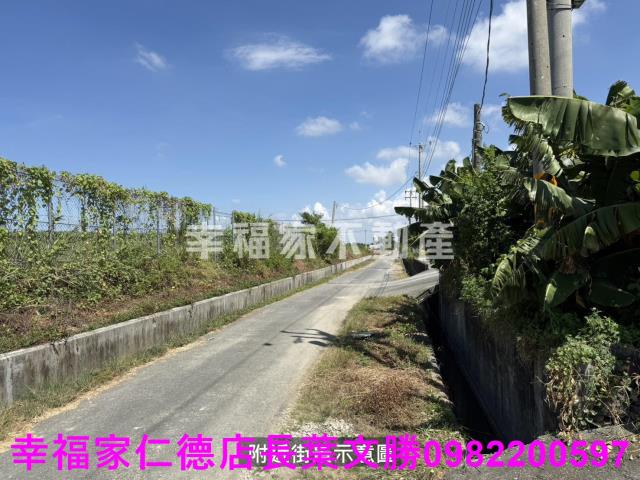 鹽水農地-4