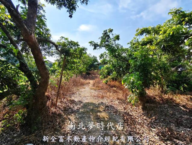 台南農地-11
