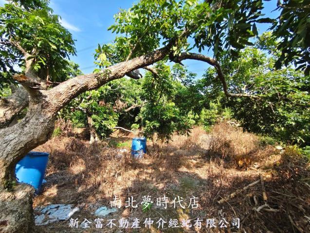 台南農地-10