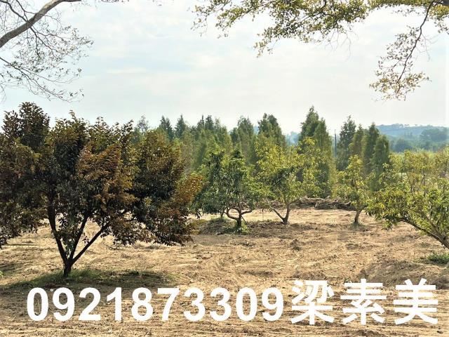 台南農地-7