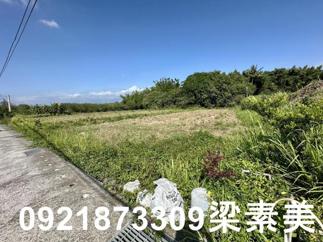 台南農地-3