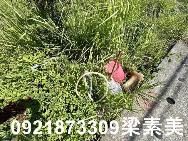 台南農地-4