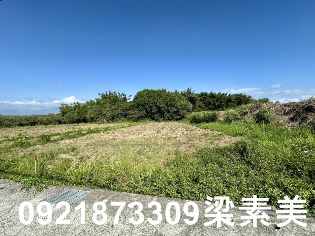 台南農地-9