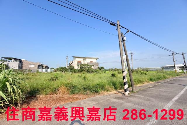 大林農地-7