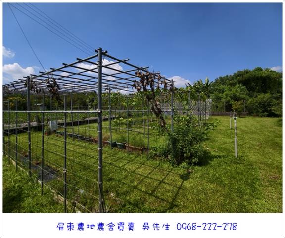 高樹農地-12