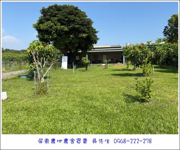 高樹農地-1