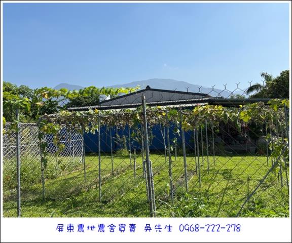 高樹農地-3