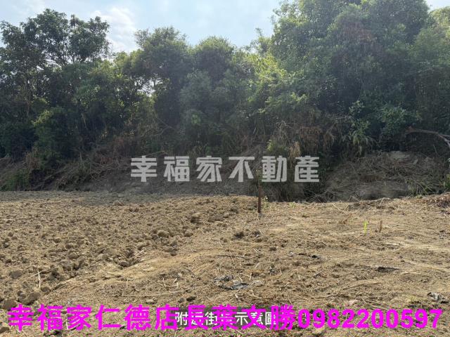 關廟農地-5