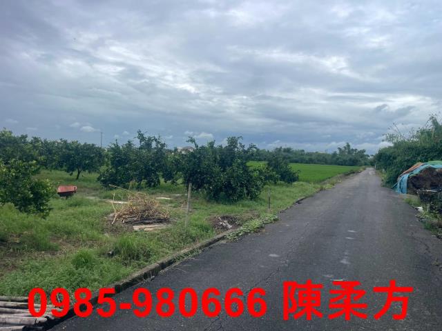 大林農地-10
