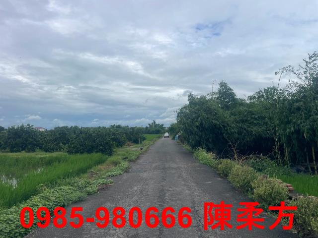 大林農地-12