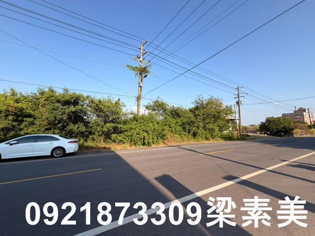 仁德農地-3