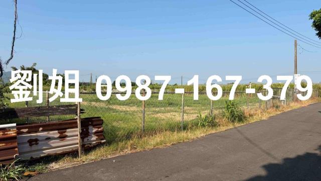 燕巢農地-2