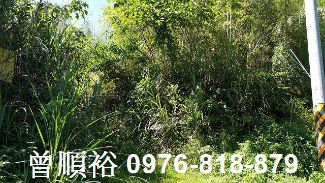 尖石林地-6